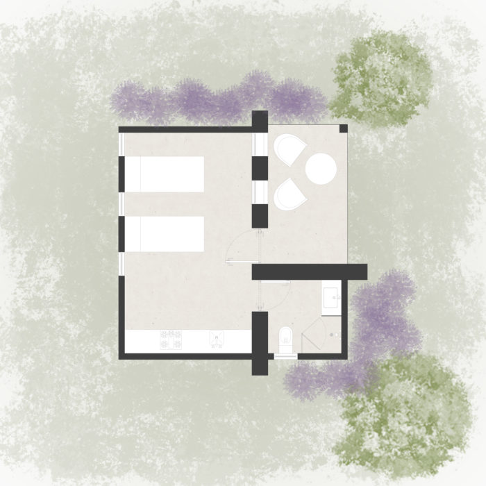 planta-2